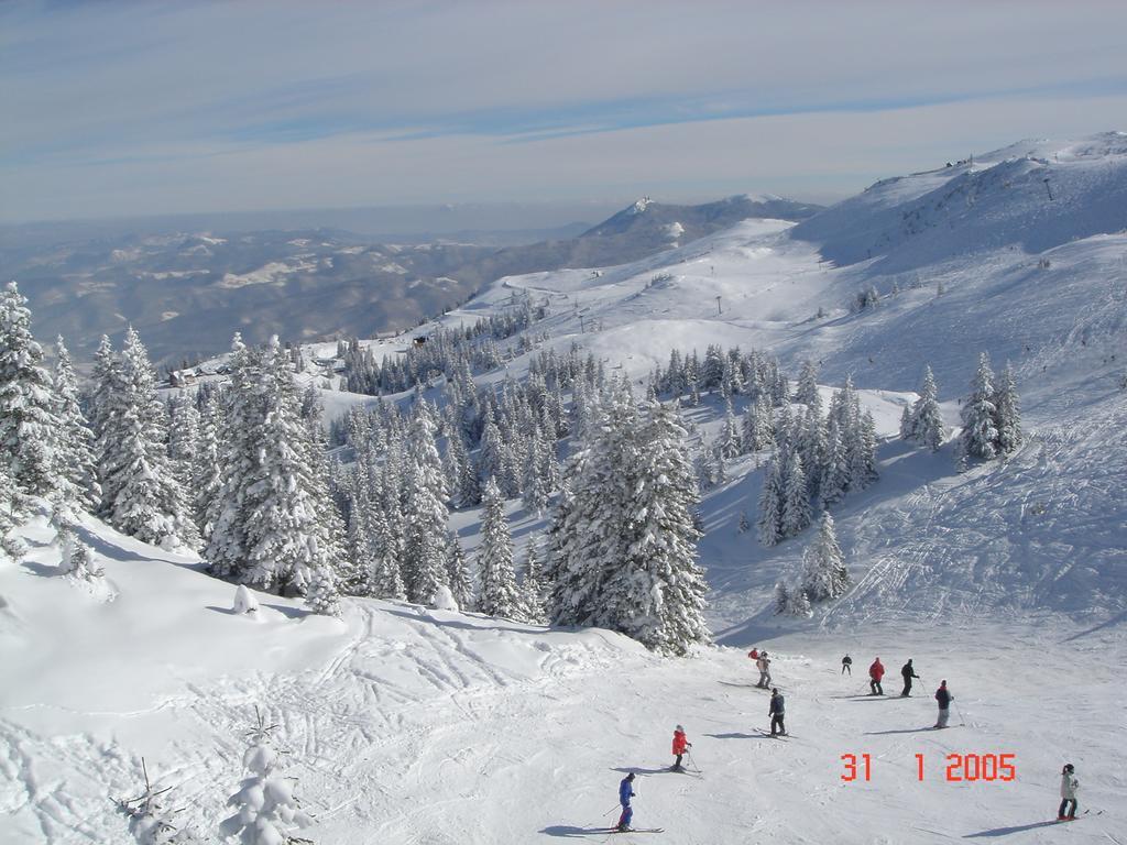 Bed And Breakfast Vila Lala Jahorina Exterior foto